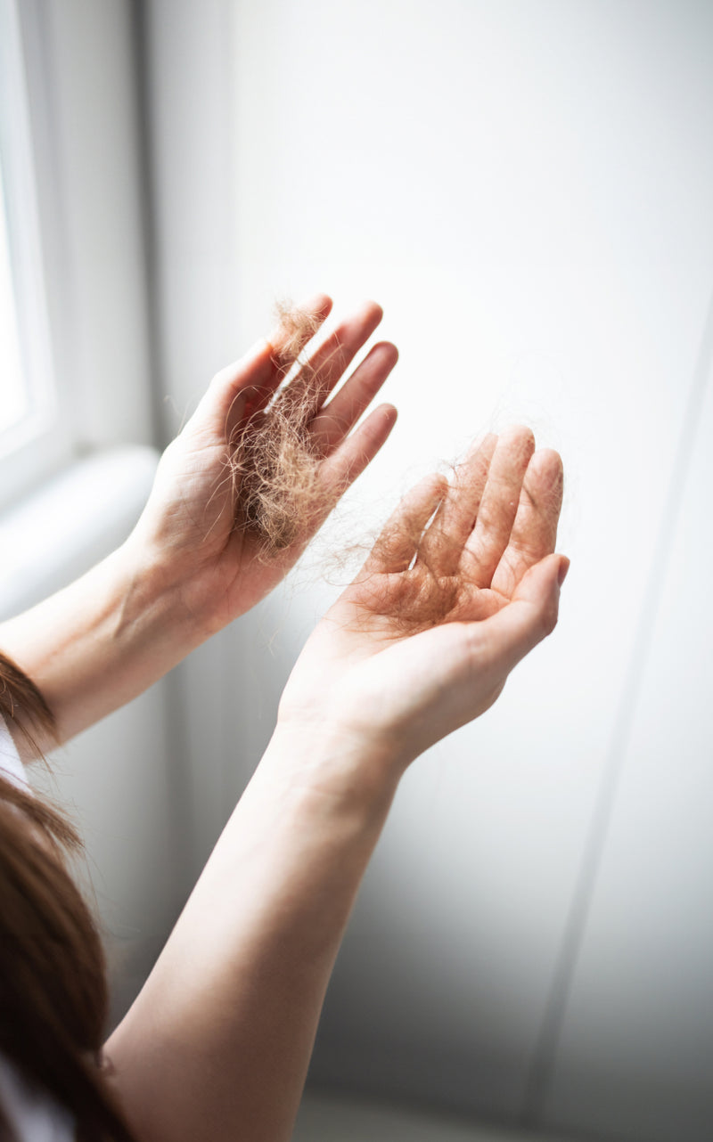 SOS cheveux ! Nos conseils pour limiter la perte capillaire au quotidien !