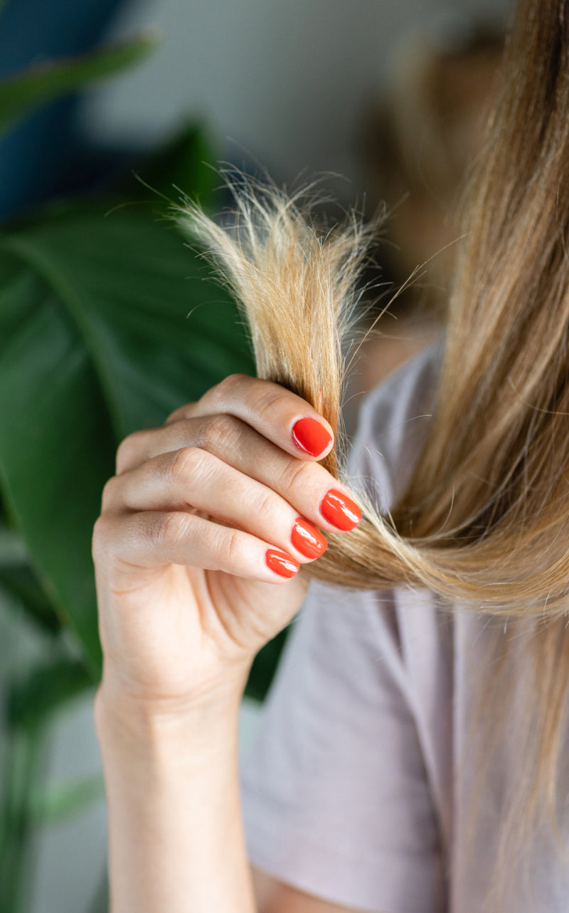 Adieu aux fourches : 3 Conseils pour des cheveux sains et sans pointes fourchues